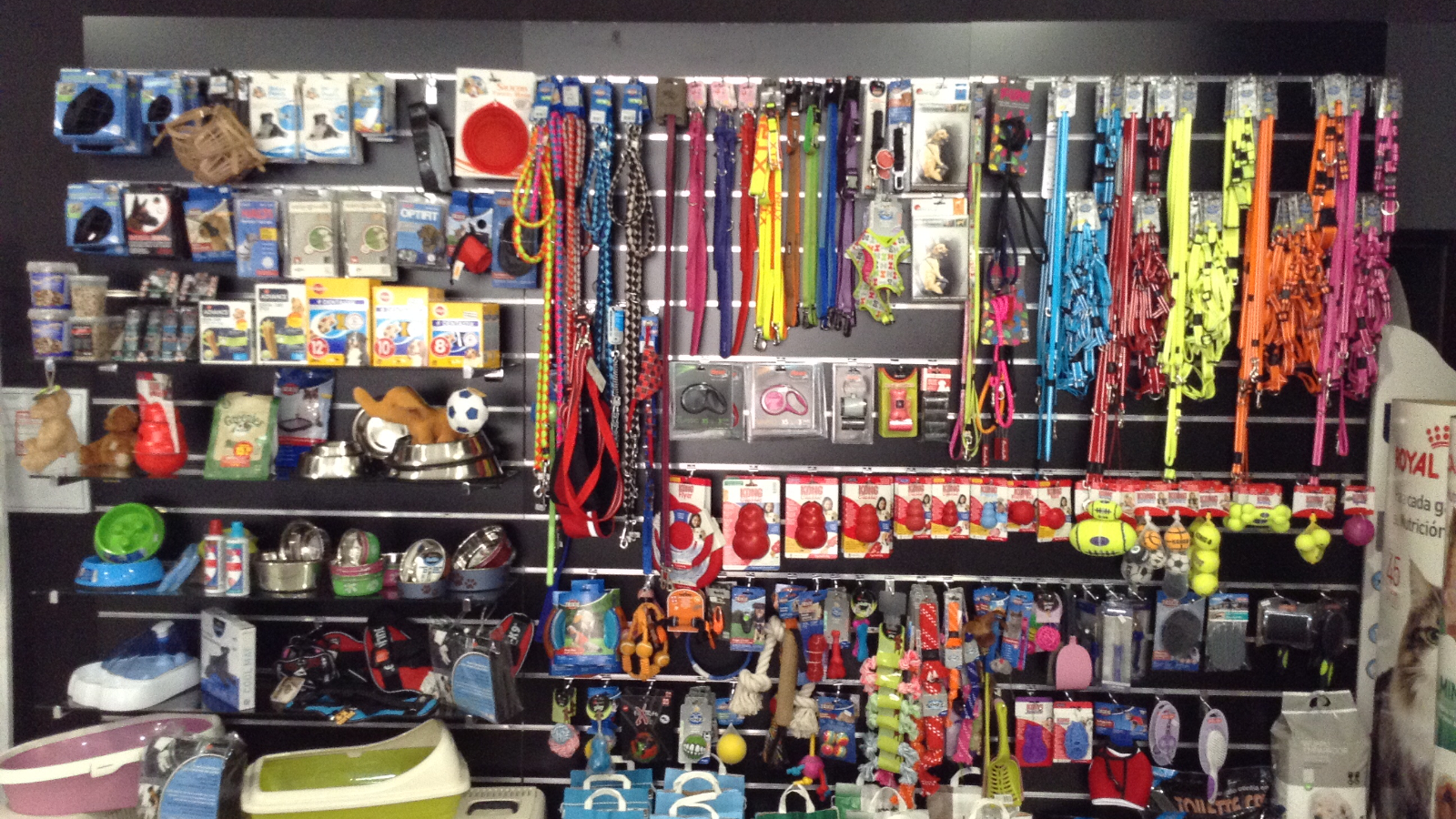 Juguetes, collares, correas y arneses. ¡Todo tipo de complementos para tu mascota!