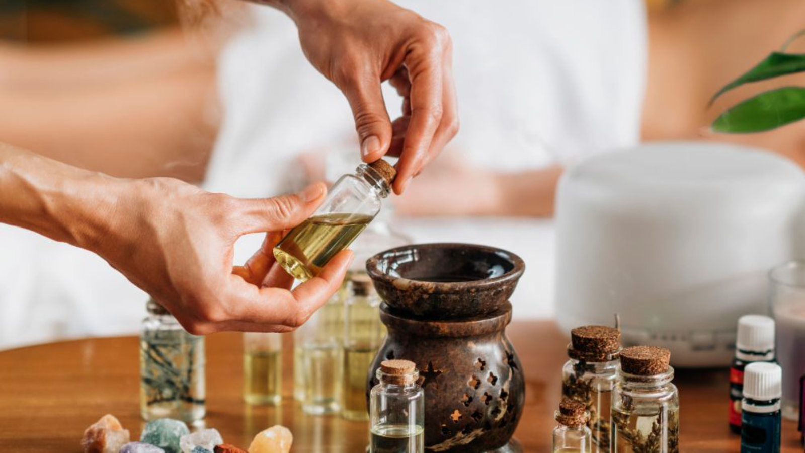 Haz tus compras también en www.semillaygrano.com