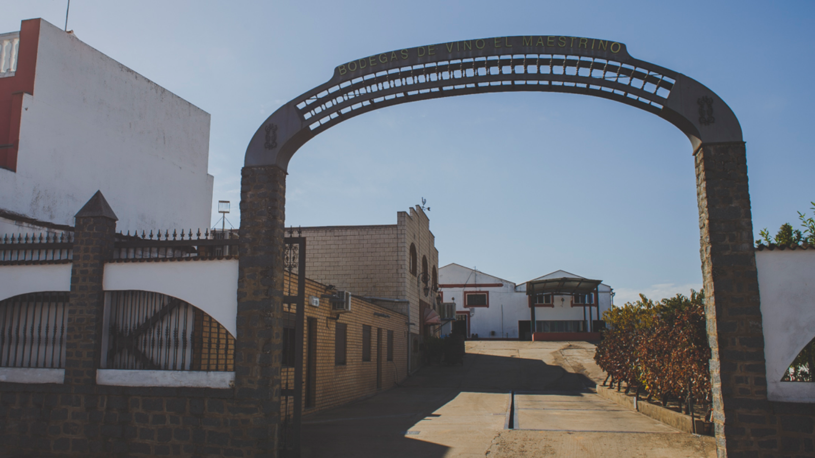 Elaborados sin prisas y hechos para envejecer con plenitud y elegancia
hasta alcanzar su mayor complejidad.