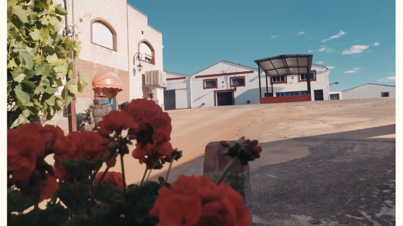 Vinos para compartir y disfrutar...