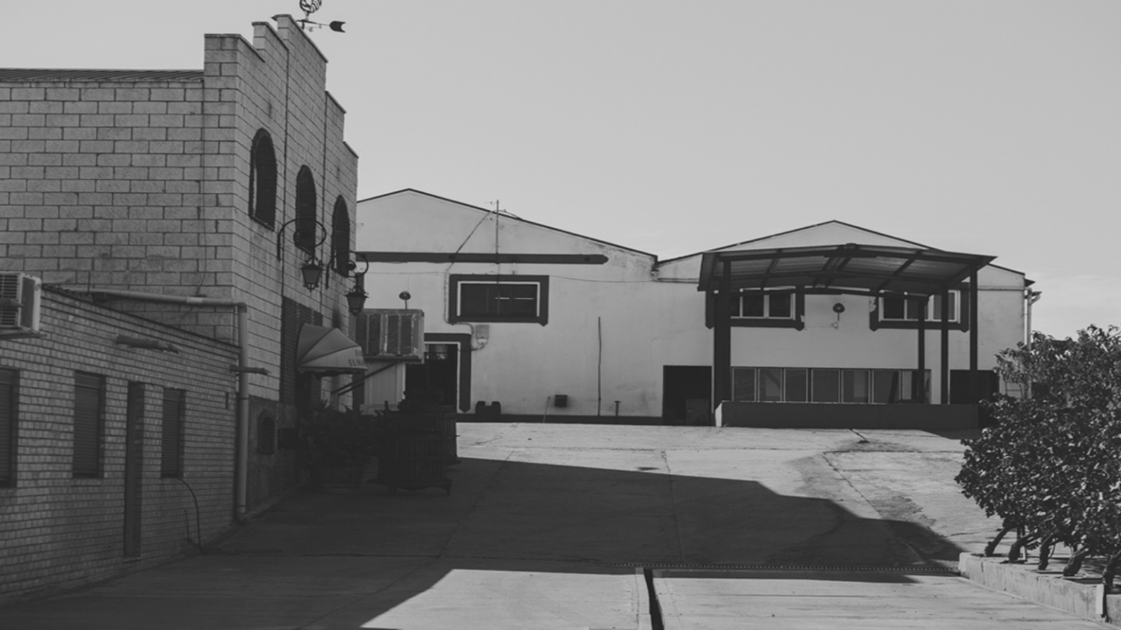 En el silencio de la bodega, es donde
nuestros vinos duermen esperando ser descubiertos.
