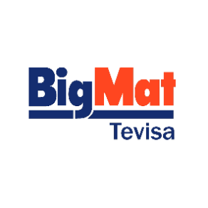 BIGMAT TEVISA Logo
