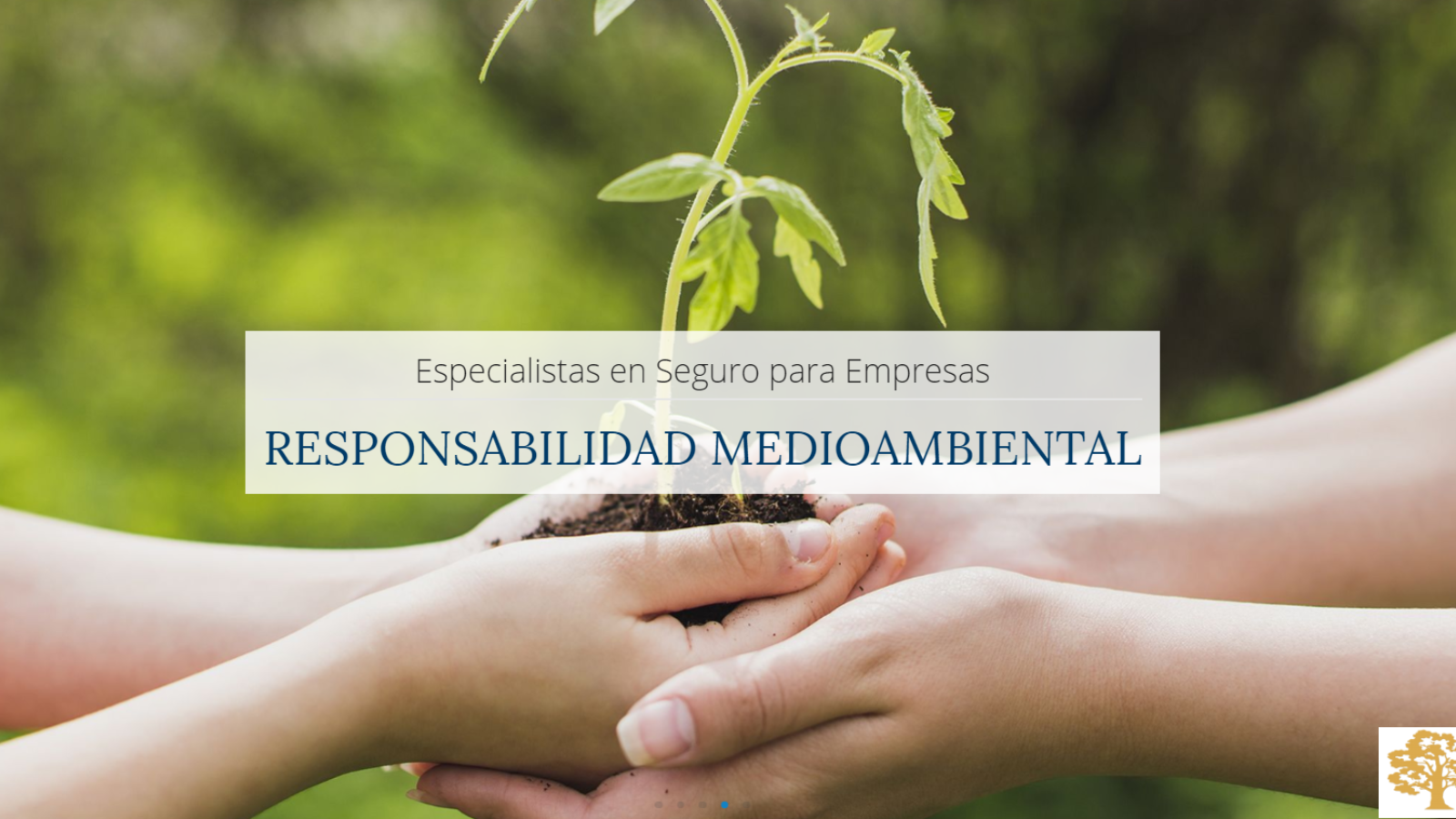 Ricardo Cagigas & S4 conocerá y entenderá, de la forma más completa y plena posible, los objetivos y necesidades del cliente, facilitándole en cada momento, las soluciones adecuadas a sus riesgos y seguros.