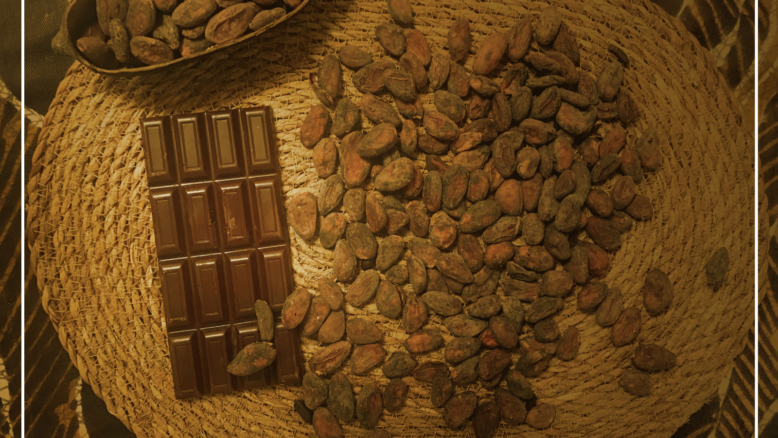 Del grano a la tableta