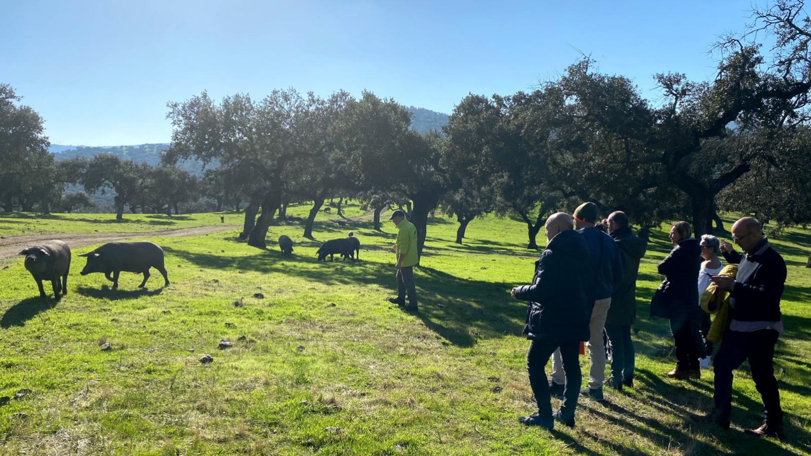 Turismo del Jamón por Extremadura