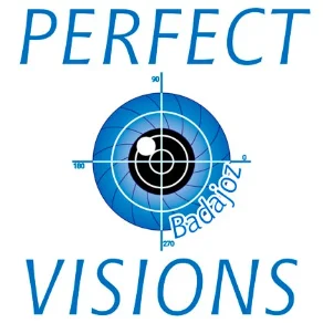 PERFECTVISIONS Logo