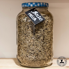 50 g Boldo en hoja