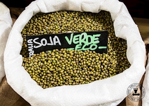 Soja Verde Ecológica Extra (green mung beans)