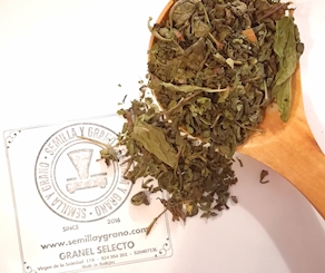 100 g Té Moruno