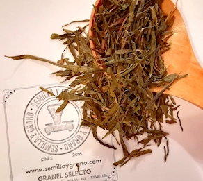 100 g Té Verde Sencha