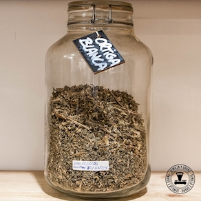 50 g Ortiga Blanca