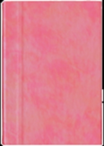 Cuaderno de notas fucshia