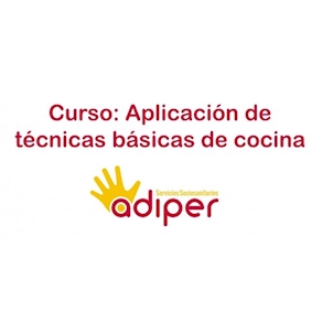 APLICACIÓN DE TÉCNICAS BÁSICAS DE COCINA